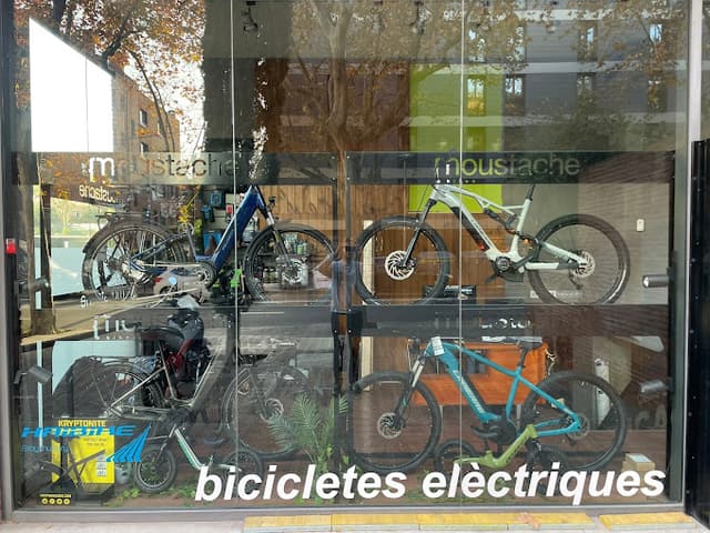 Inside the Doctor Bike shop in Palma
